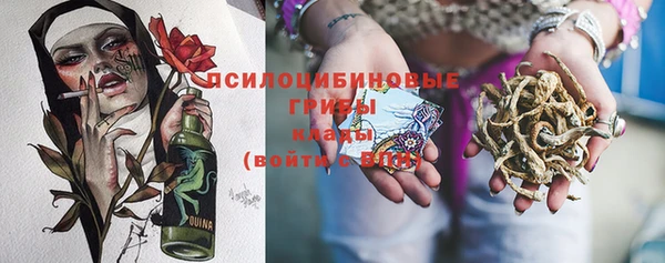 a pvp Володарск