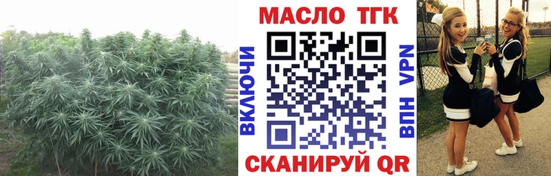 купить   Всеволожск  ТГК гашишное масло 