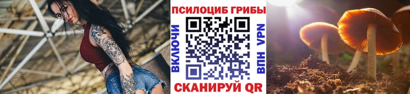 Галлюциногенные грибы мухоморы  Всеволожск 
